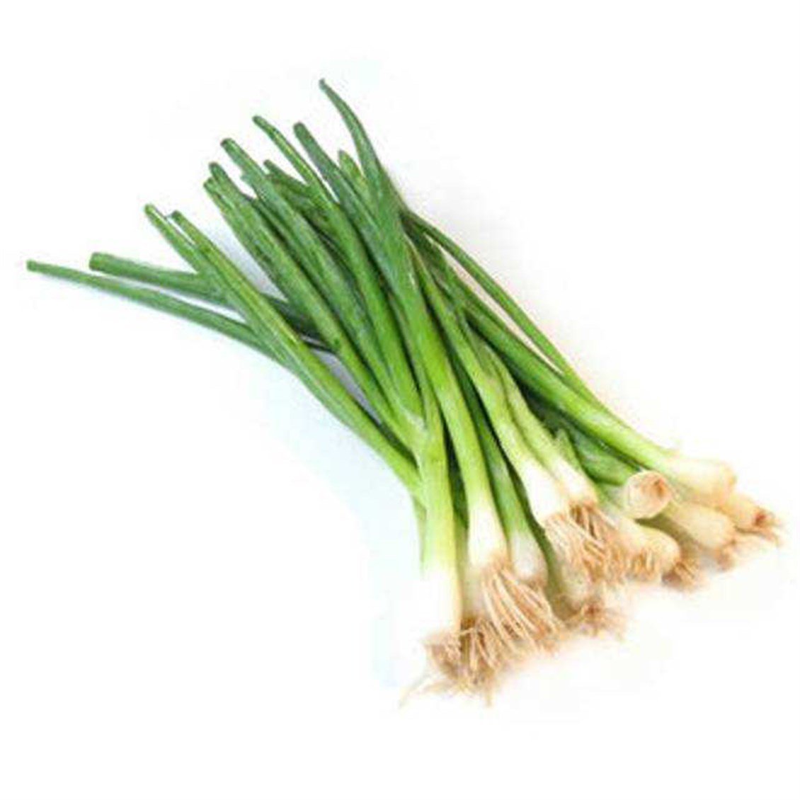 taze-yesil-sogan-kg